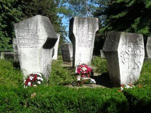 simicev salas